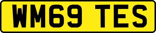 WM69TES