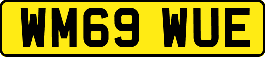WM69WUE
