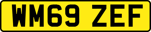 WM69ZEF