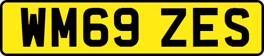 WM69ZES