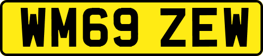 WM69ZEW