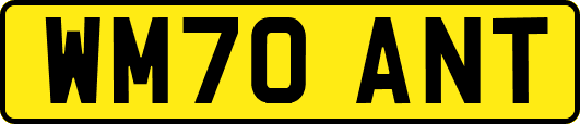 WM70ANT