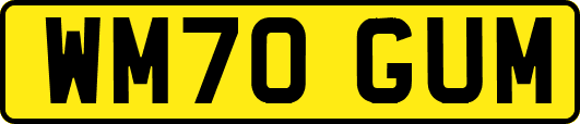 WM70GUM