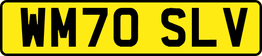 WM70SLV