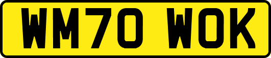 WM70WOK