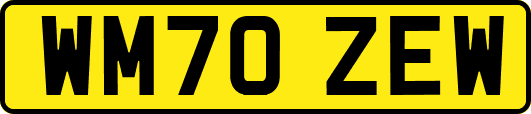 WM70ZEW