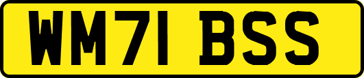 WM71BSS