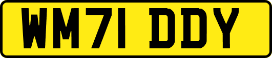 WM71DDY