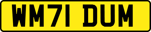 WM71DUM