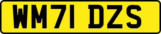 WM71DZS
