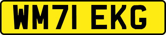 WM71EKG