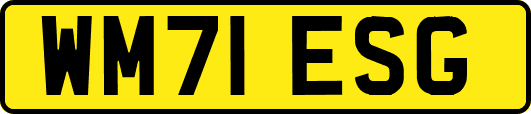 WM71ESG