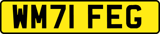 WM71FEG
