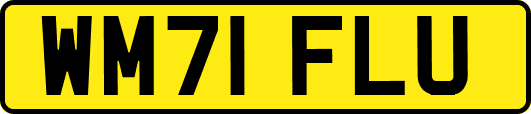 WM71FLU