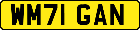 WM71GAN
