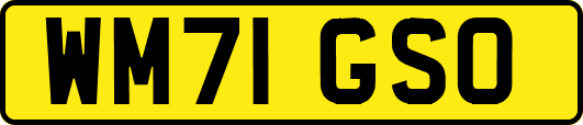 WM71GSO