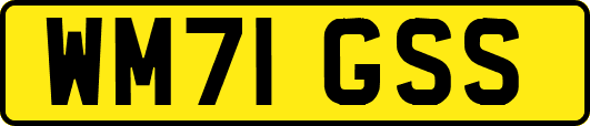WM71GSS