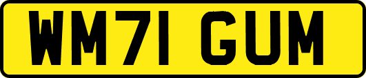 WM71GUM