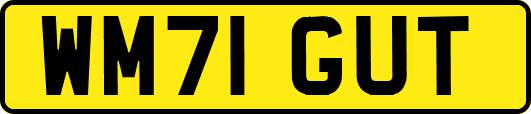 WM71GUT