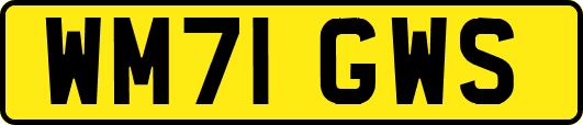 WM71GWS