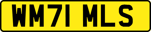 WM71MLS