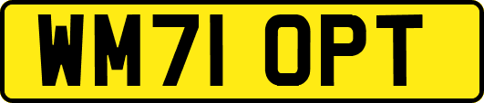 WM71OPT