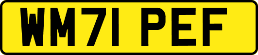 WM71PEF