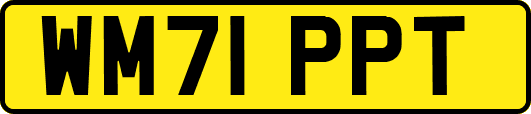 WM71PPT