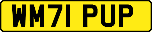 WM71PUP