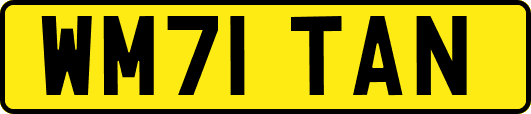 WM71TAN