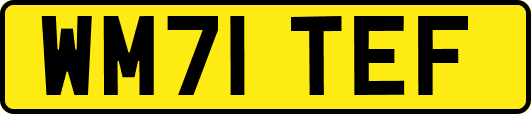 WM71TEF
