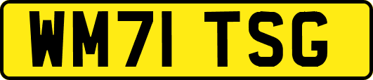 WM71TSG