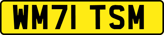 WM71TSM