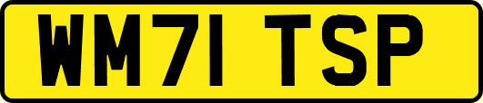 WM71TSP