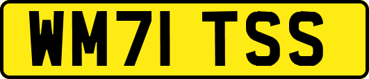 WM71TSS