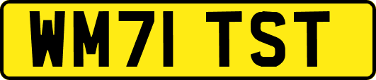 WM71TST