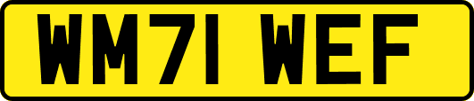 WM71WEF