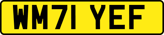WM71YEF