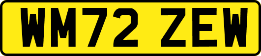 WM72ZEW