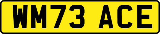 WM73ACE