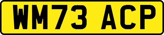 WM73ACP