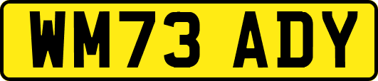 WM73ADY