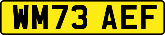 WM73AEF