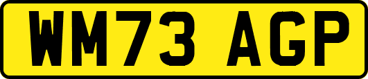 WM73AGP