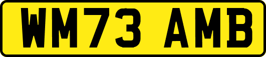 WM73AMB