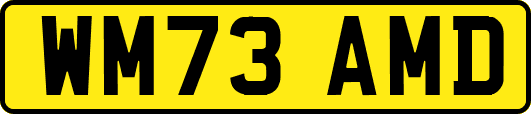 WM73AMD