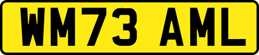 WM73AML