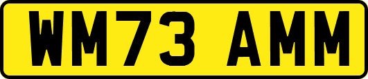 WM73AMM