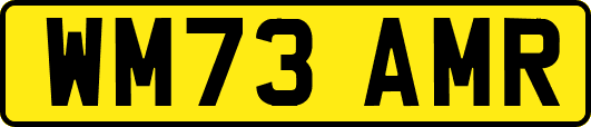 WM73AMR