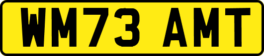 WM73AMT